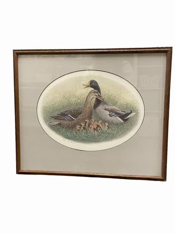 Framed Frisino print, Duck Family, 19x22.5