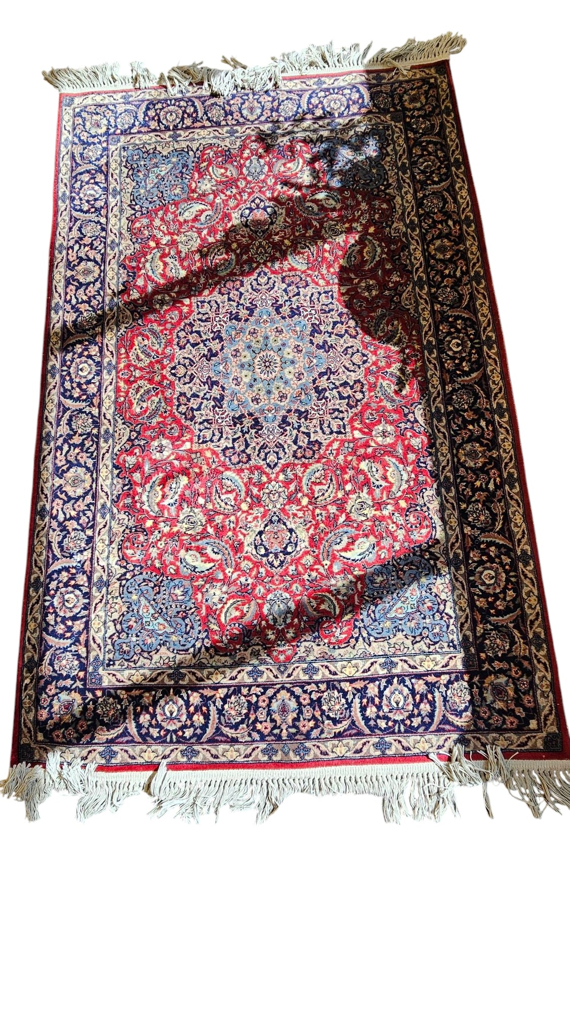Pakistan Wool Traditional Area Rug and Pad 4 x 6.5"