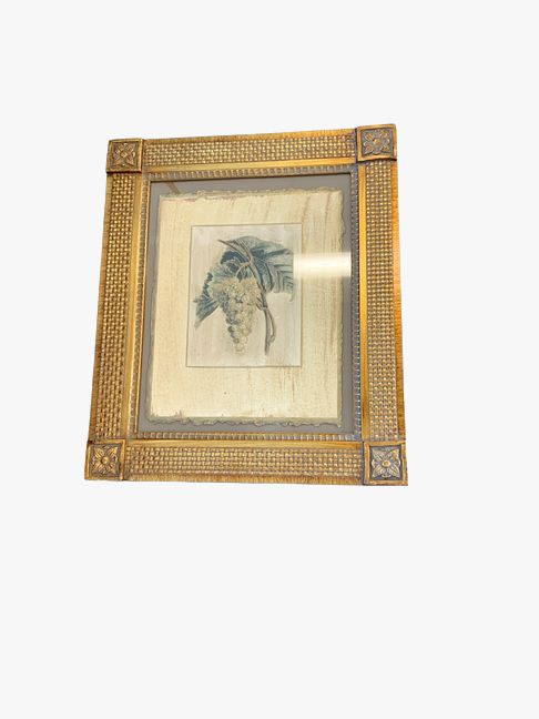 Pair Gold Framed, Embellished Fruit Botanical Prints 27 Hx 22W"