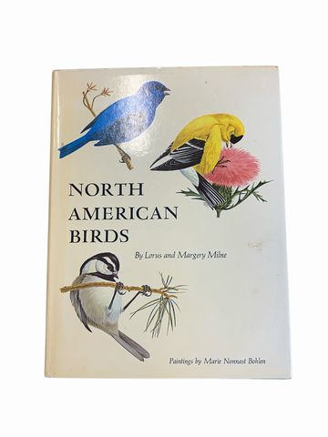 North American Birds- Coffee Table Book 12x9"