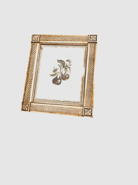 Pair Gold Framed, Embellished Fruit Botanical Prints 27 Hx 22W"