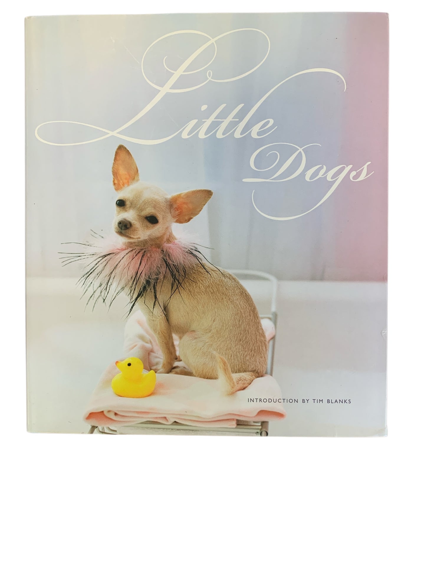 Little Dogs-Coffee Table Book 10x8"
