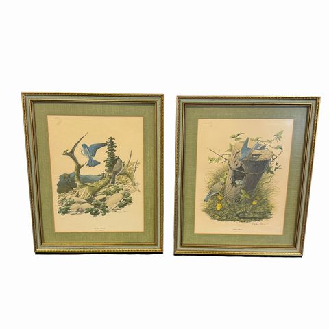 Richard Sloan Blue Bird Print Pair 15x18