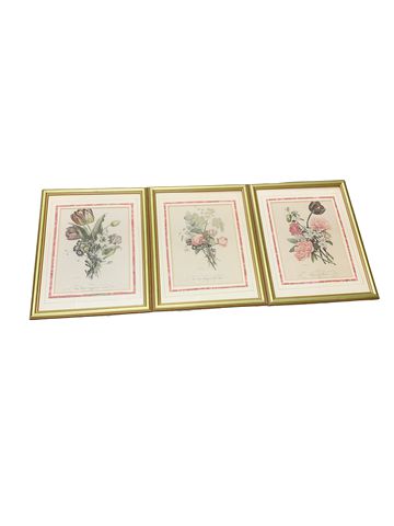 Set Of Three Framed Botanical Prints 17"x14"