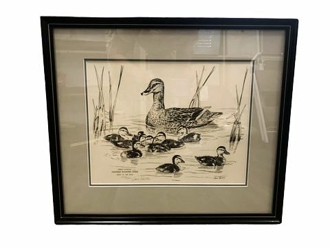 Framed ltd. ed. black/white print of duck and ducklings, 17x20"