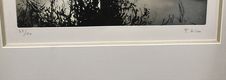Signed and numbered limited ed. print of tree by F. Hilon, 32.25" h x 25.25"