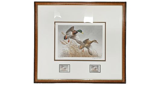 Marynard Reece, 1988 NFWF,  Mallard Framed Print  16"H18"W