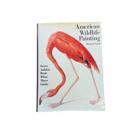 American Wildlife Painting Book