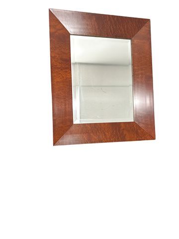 Rectangular Beveled Mirror Framed In Rubbed Mahogany By Willem Smith 21x25"