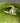 Vintage 10k Filled & Cabochon Nephrite Jade Ring, Size 5