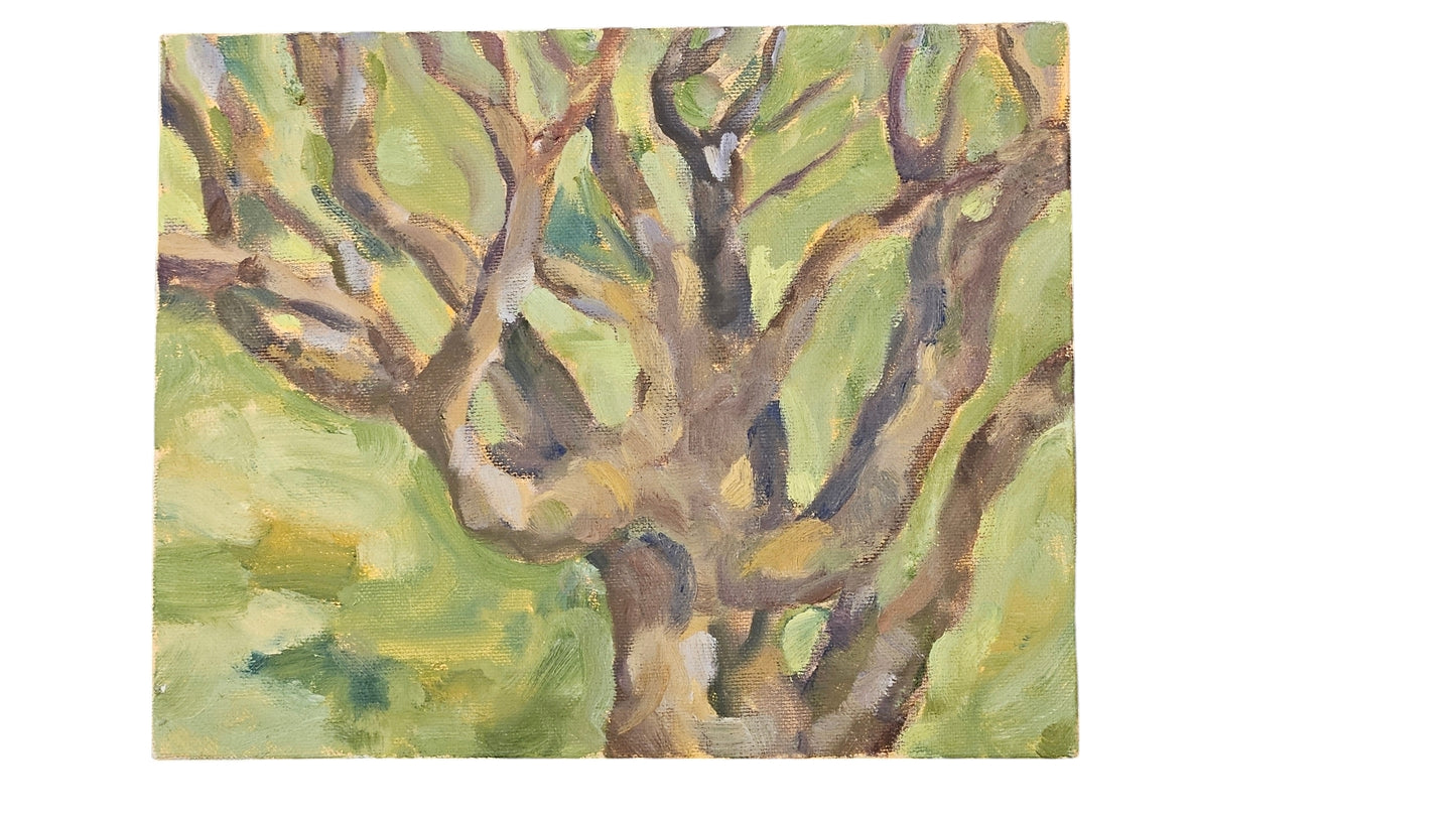 Jacqueline Shaffer Original Tree Painting 8"hx10W"