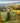 Ming Feng Original Oil Painting On Canvas Landscape
