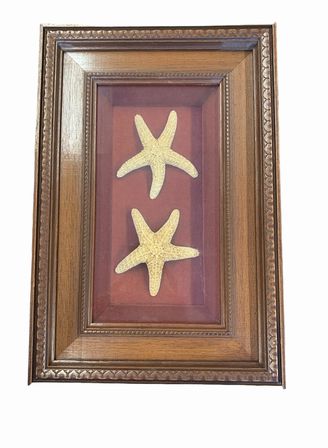 Stained wood shadowbox w/ starfish, 15x10"