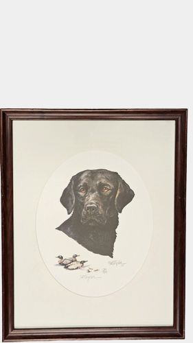 Alice Naylor Numbered Lithograph Black Labrador 19x16"