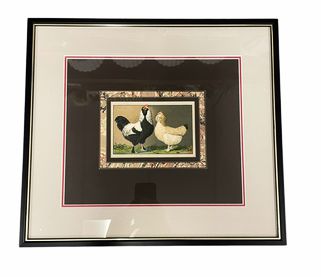 Set of 4 framed chicken prints, 16.25" h x 18.5"