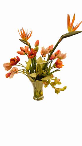 Coral Floral Arrangement w Tulips, Birds of Paradise 28x20