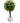 Faux potted boxwood, 18.5" h