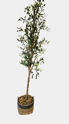 Faux Olive Tree 76"H