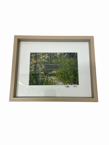 Framed photo, "Path in the Woods,"8.5x10.5