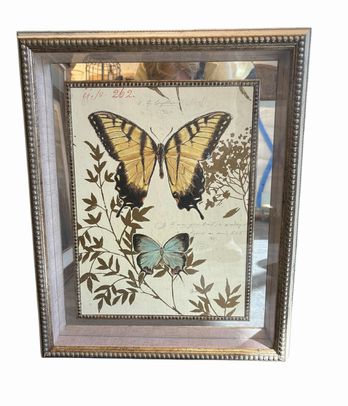 Ivory framed butterfly print w/ mirrored border, 22x18"