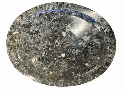 Fossil plate from Morocco, 14x10.25"