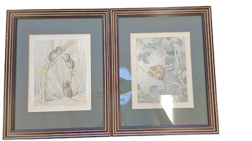 Antique Pair Framed Illustrations, "Friends of the Forest", by Barbara Briggs