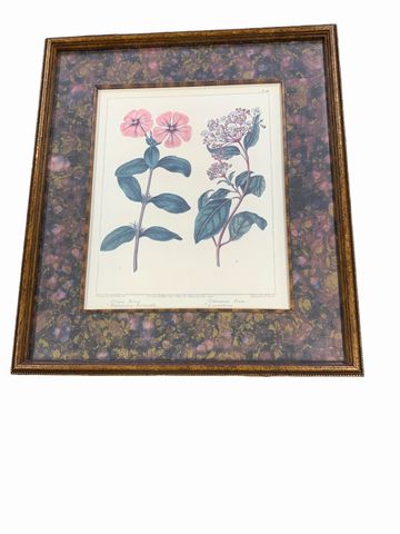 Perwinkly and Viburnum Flower Print 14.5 x 12.5