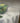 Oil On Canvas, Sunflower, WANTA, 93, 46.5 in. x 46.5 in.