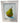 Oil On paper "The Pear" Signed By Artist 5x7"