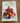 Book Encyclopedia of Flower Arranging