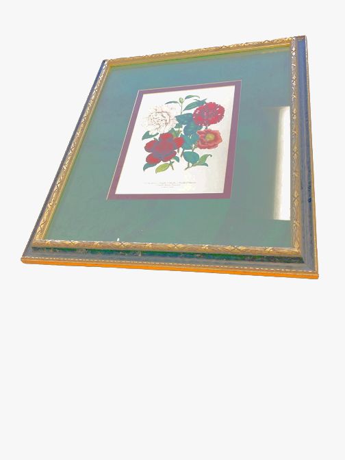 Pair Framed Trad. Botanical Floral Prints 23"hx20"W