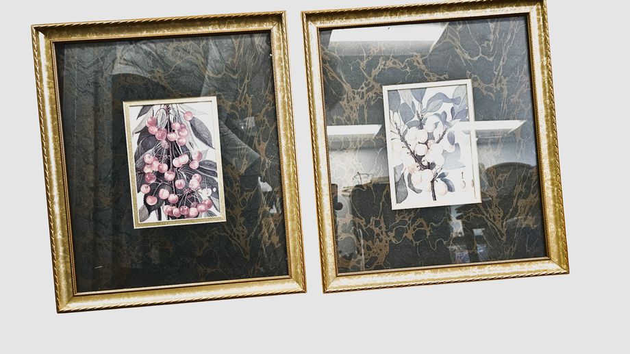 Pair Classic Botanical Prints, Gilt Frames 15 x 13.5"