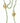 Chinese Jade & Carved Bone Necklace, L. 35 in.