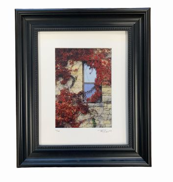 Framed photo of a vine around a window, signed/numbered, 13.25x11.25"