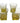 Set of 4 vintage Morgantown Glass Co. swirl moss green glasses, 3" h