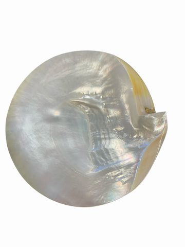 8 Vintage Mother Of Pearl Shell Caviar Serving Plates 8"rd.